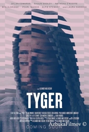 Фильм Тигр (2024)