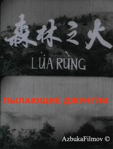 Фильм Пылающие джунгли (1965)