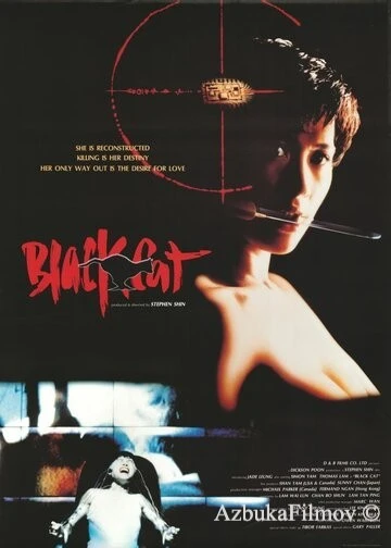 Фильм Чёрная кошка (1991)