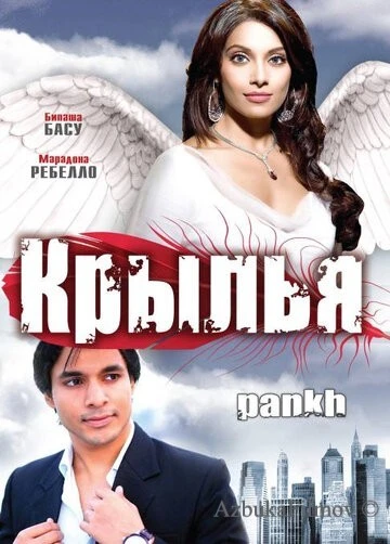 Фильм Крылья (2010)