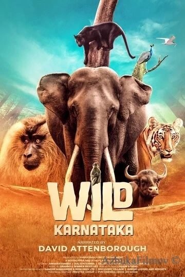 Фильм Дикая Карнатака (2020)