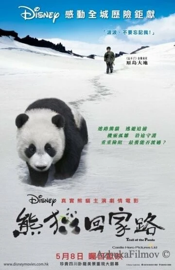 Фильм След панды (2009)