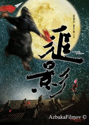 Фильм В погоне за тенью (2009)