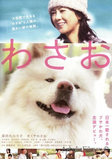 Фильм Васао (2011)