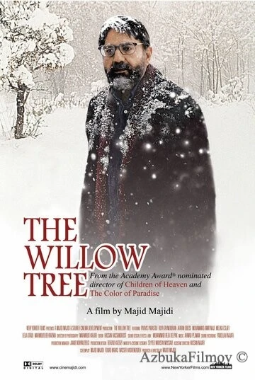 Фильм Ивовое дерево (2005)