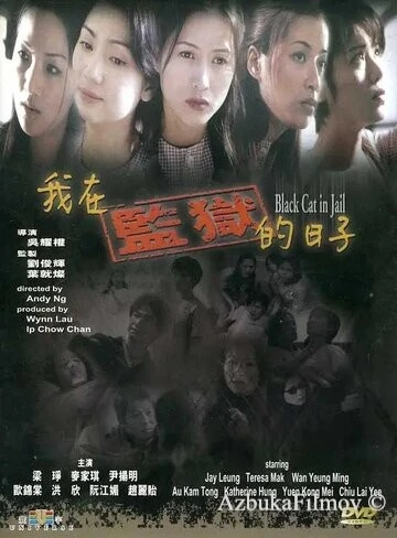 Фильм Чёрная кошка 3: В тюрьме (2000)