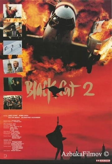 Фильм Чёрная кошка 2 (1992)