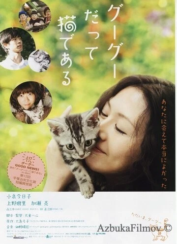 Фильм Кот по имени Гу-Гу (2008)