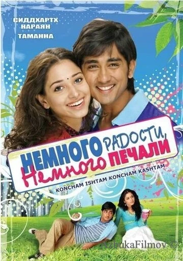 Фильм Немного радости, немного печали (2009)