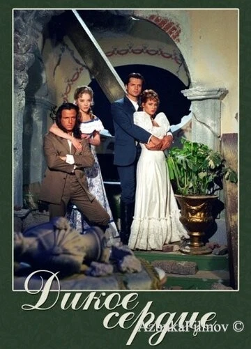 Фильм Дикое сердце (1993)