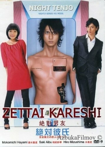 Фильм Идеальный парень (2008)