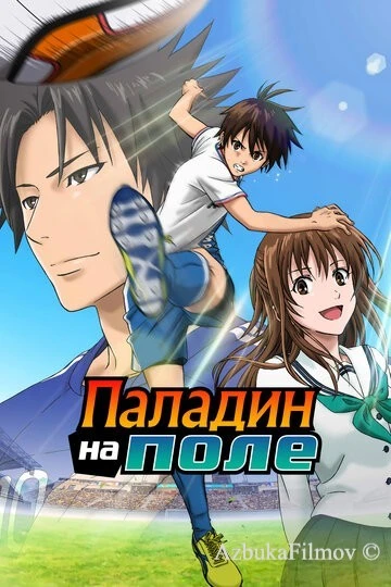 Фильм Паладин на поле (2012)