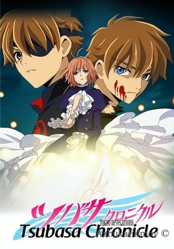 Фильм Хроника крыльев (2007)