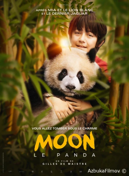 Фильм Моя панда (2025)