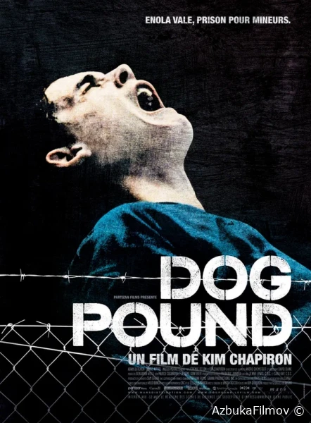 Фильм Загон для собак (2009)